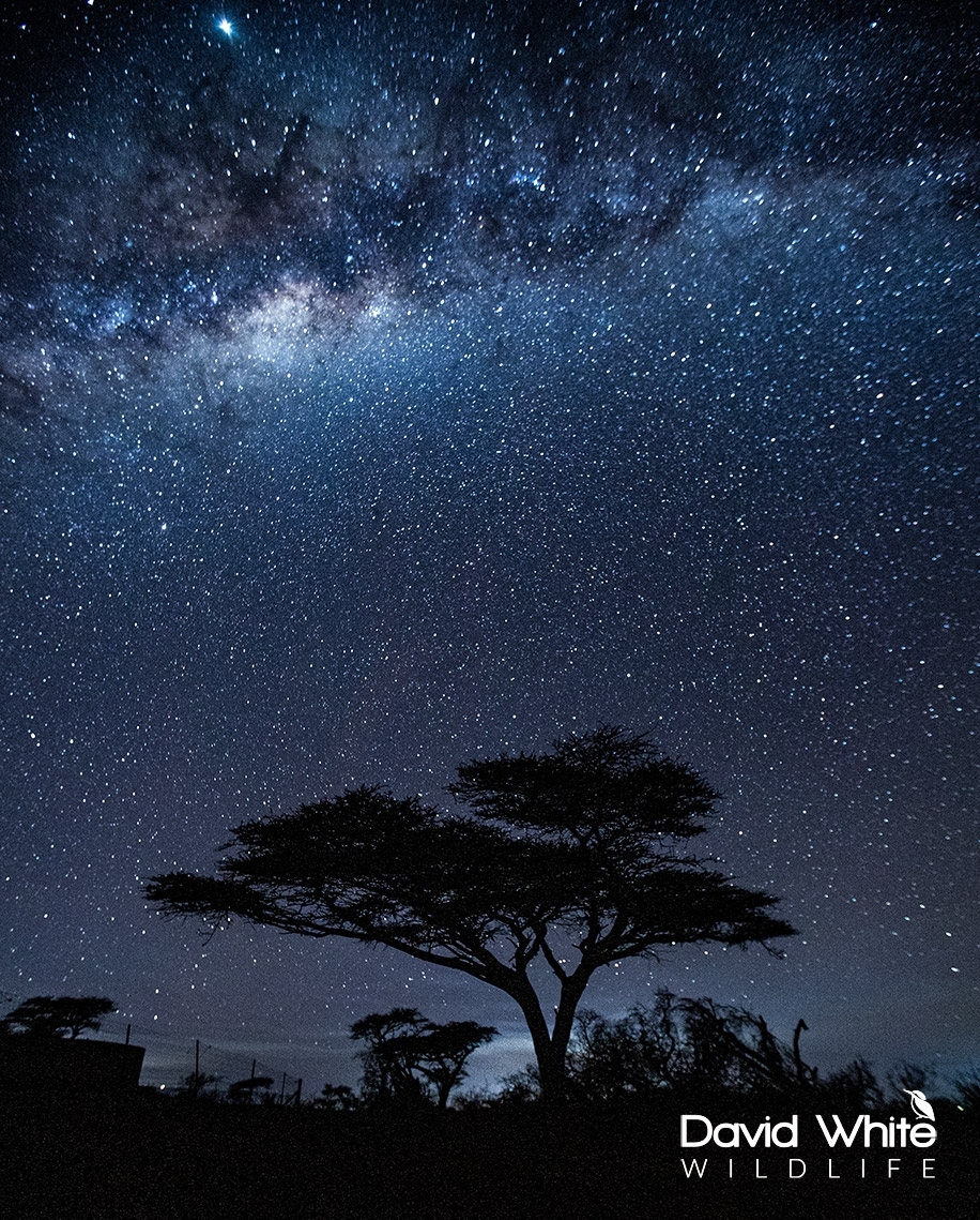 Milky Way in South Africa